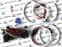 Ангельские глазки (Cotton LED) BMW E53 X5 (белые)