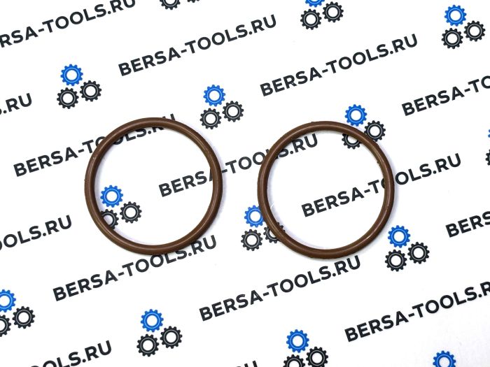 Ремкомплект двойного Ваноса (Double Vanos) M52TU, M54, M56 (без подшипниковых колец)