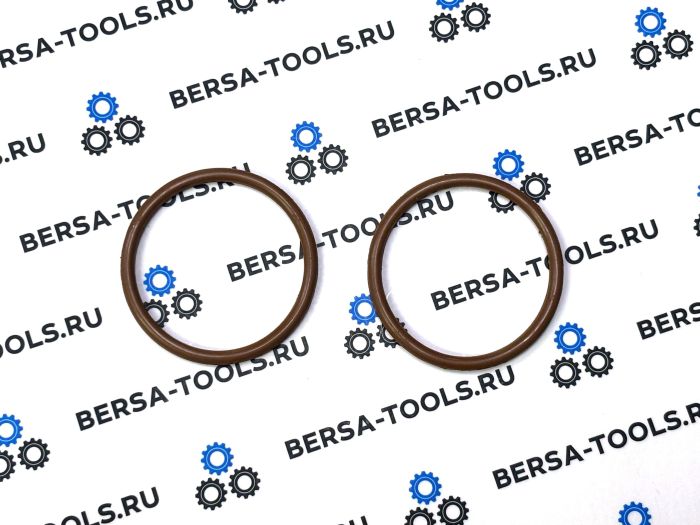 Ремкомплект двойного Ваноса (VANOS) M52TU, M54, M56