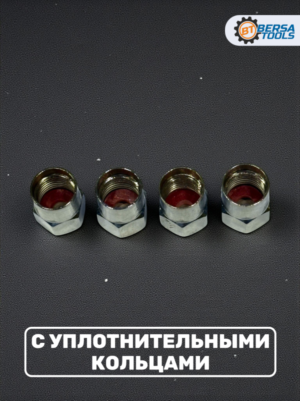 Колпачки на ниппель с эмблемой Renault хром, 4 шт