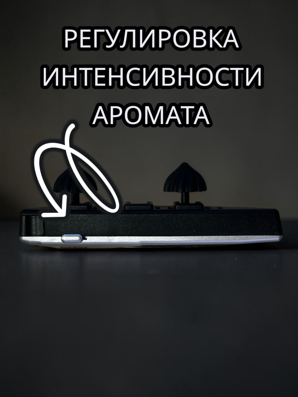 Ароматизатор BMW Natural Air со стиком в подарок (серебро)