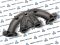 Чугунный выпускнoй коллектор Рeugeоt/Citroen 1.1L, 1.4L (0341.F9)